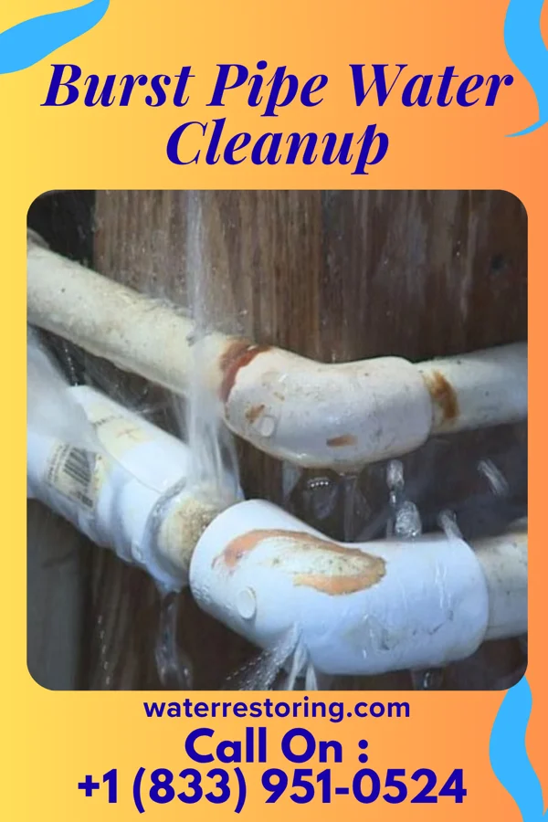 Burst Pipe Water Cleanup in Dudley, MO