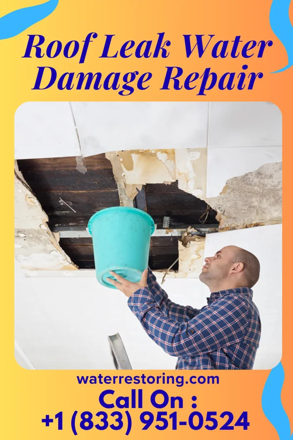 Roof Leak Water Damage Repair in Dudley, MO