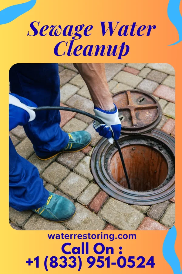 Sewage Water Cleanup in Dudley, MO